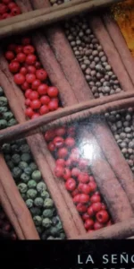 La señora de las especias, Chita Banerjee, ed. Planeta deAgostini La señora de las especias, Chita Banerjee, ed. Planeta deAgostini