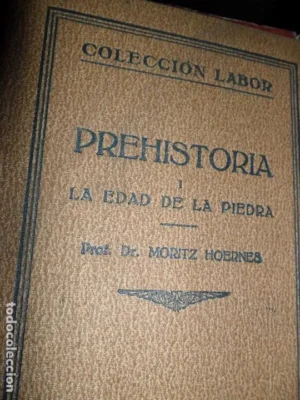 Prehistoria, 1. la edad de la piedra