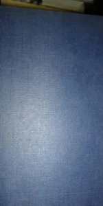 Sentencia para un menor, José Luis Martín Vigil, ed. Richard Grandio Sentencia para un menor, José Luis Martín Vigil, ed. Richard Grandio