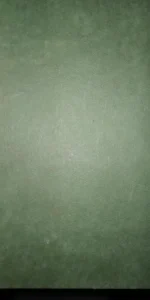 Fuga, hierro y fuego, Paco Ignacio Taibo, ed. Planeta