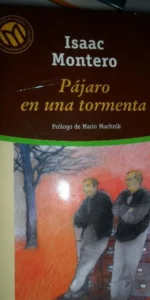 Pájaro en una tormenta, Isaac Montero, ed. El Mundo