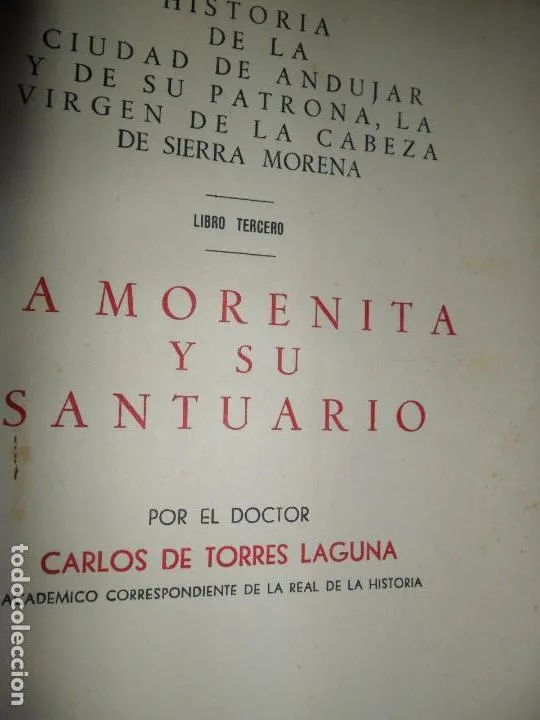 La morenita y su santuario La morenita y su santuario