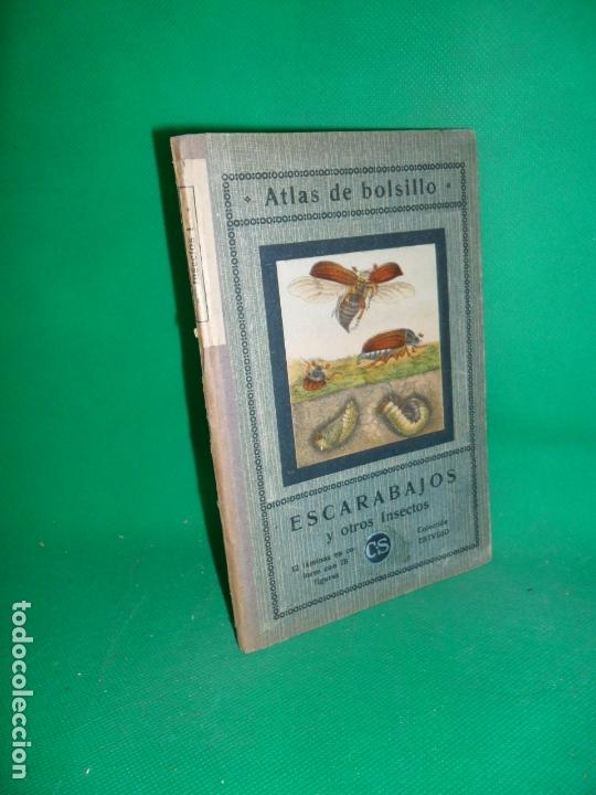 Atlas de escarabajos y otros insectos, ed. Seither, 1923 Atlas de escarabajos y otros insectos, ed. Seither, 1923