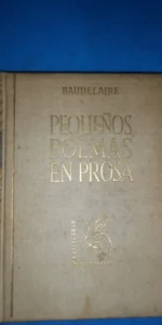 Pequeños poemas en prosa, Spleen de París