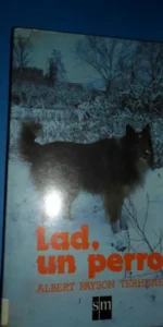 lad, un perro, Albert Payson Terhune, ed. SM