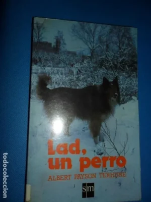 lad, un perro, Albert Payson Terhune, ed. SM