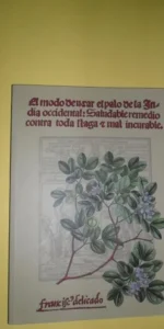 El modo de usar el palo de la India occidental: Saludable remedio contra toda llaga y mal incurable El modo de usar el palo de la India occidental: Saludable remedio contra toda llaga y mal incurable