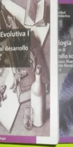 Psicología evolutiva I (UNIDAD DIDÁCTICA) VOLUMEN II (Spanish Edition)