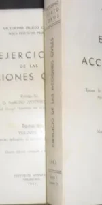 Ejercicio de las acciones civiles, vol. I  Tomo I, Victorino Prieto Cobos, Ed. Aranzadi