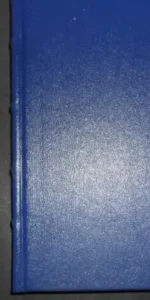 Narraciones extraordinarias, Allan Poe, Grandes genios de la Literatura Universal
