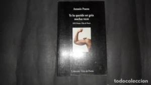 Yo he querido ser grúa muchas veces, Antonio Praena, ed. Visor de Poesía