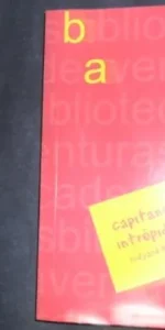 Capitanes intrepidos