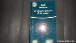 El obsceno pájaro de la noche