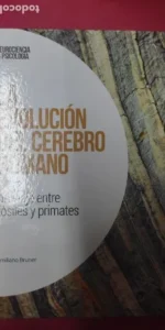 la evolución del cerebro humano, Un viaje entre fósiles y primates, Emiliano Bruner, ed. EMSE