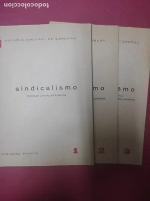 Sindicalismo, Concepto y evolución histórica, Esquemas básicos, 3 números, Escuela sindical Córdoba