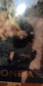 Ronda, José Páez Carrascosa, 1993