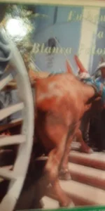 En honor a la Blanca Paloma, El Rocío, su entorno y sus verdades, José Trujillo, ed. Giralda, 1995