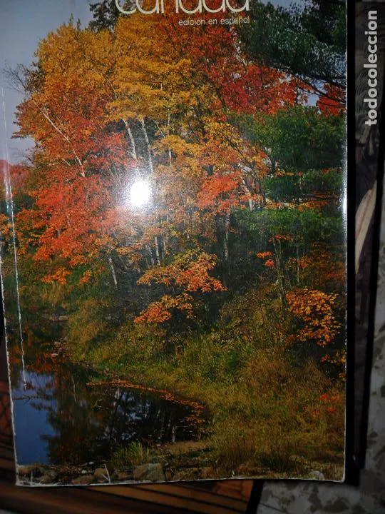 Canadá, Un manual sobre las condiciones actuales, y progresos recientes, 1977 Canadá, Un manual sobre las condiciones actuales, y progresos recientes, 1977