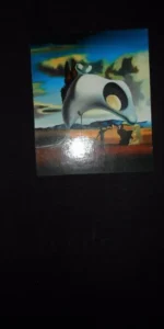 Salvador Dalí, Su vida, su obra, ed. Carroggio, precintado, con estuche