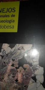 Anejos de anales de arqueología cordobesa, 2009-2010, nº 2, precintado