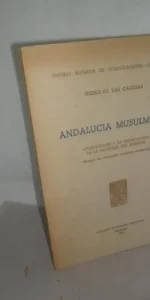 Andalucía musulmana, Aportaciones a la delimitación de la frontera del Ándalus, Isidro de la Cagigas